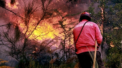 Incêndios destruíram mais 500 hectares em Seia