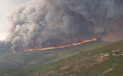 Dois incêndios activos em Nelas, depois de extintos os de COIMBRA E GUARDADois incêndios activos em Nelas, depois de extintos os de COIMBRA E GUARDA